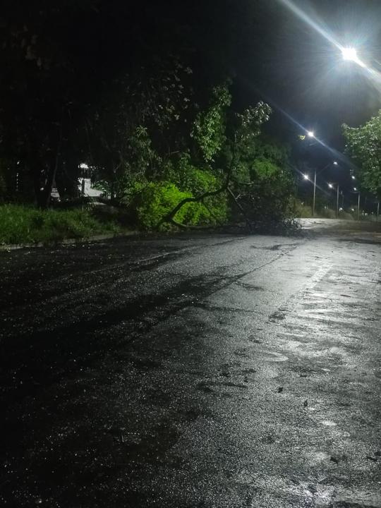 Foto 1 de 67 — TEMPORAL EM FOTOS: veja imagens de destruição em Araraquara